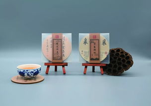 避暑山莊夾進(jìn)書(shū)里 紙上的青山與流年